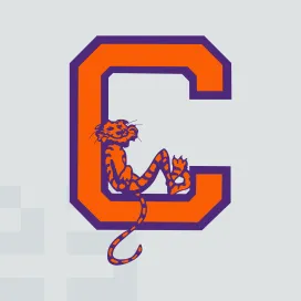 Clemson university